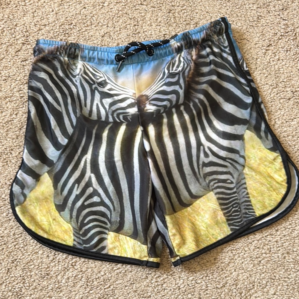 Zebra Print popupshop pop up shop swim trunks 5 boys